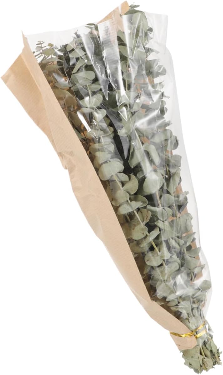 Dried Eucalyptus Lavender Shower Flowers Bundle Multi Use Vase Filler Home Decor Eucalyptus Stems Lavender for Weddings Parties Bathroom Decoration