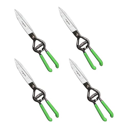 Pruning: pruning trees and shrubs correctly