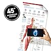51be+gpbs4l - Virtual Reality Human Body - Illustrated Interactive VR Book and STEM Learning Activity Set