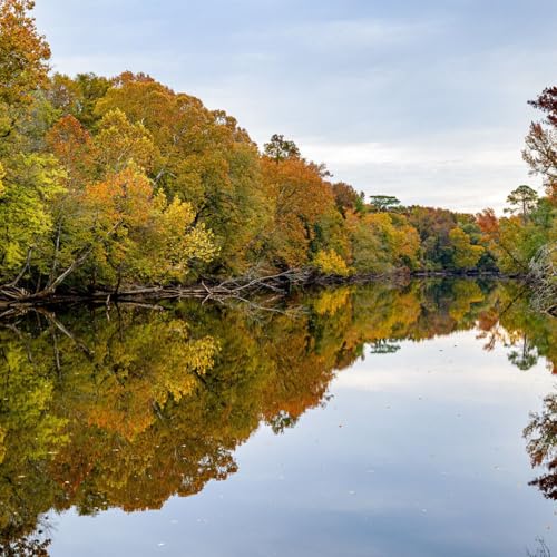 🍂 Greenville Weekender: Movie Nights, Pumpkin Fun & Local Picks. Podcast Por arte de portada