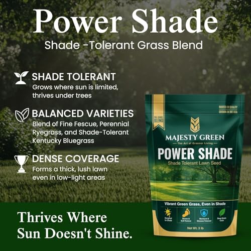 Grass Seed Blend For Shady Lawns Low Sunlight