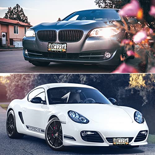 Paw Print License Plate Frames For Women Men Cars 2 Holes Black White Dog Cat Paw Print Stainless Steel Car Tag Cover Holder For Us Canada Standard Vehicles 12.3X6.3 Inch With Screws (1 Frame) #TOP3