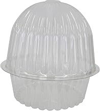 mushroom cultivation container a