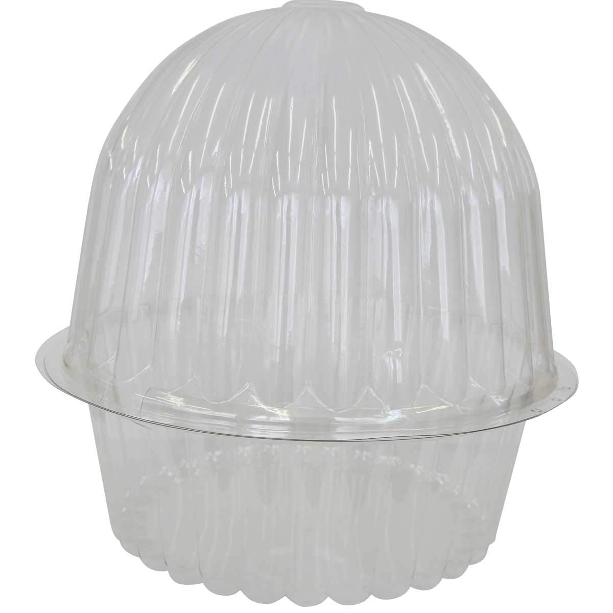 Amazon | きのこ栽培容器A | 鉢・プランター用品