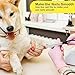 Candure Dog Nail Clippers for Pet Grooming - Professional Cat Nail Trimmers Suitable for Small to Medium Breeds with a Safety Guard & Nail File