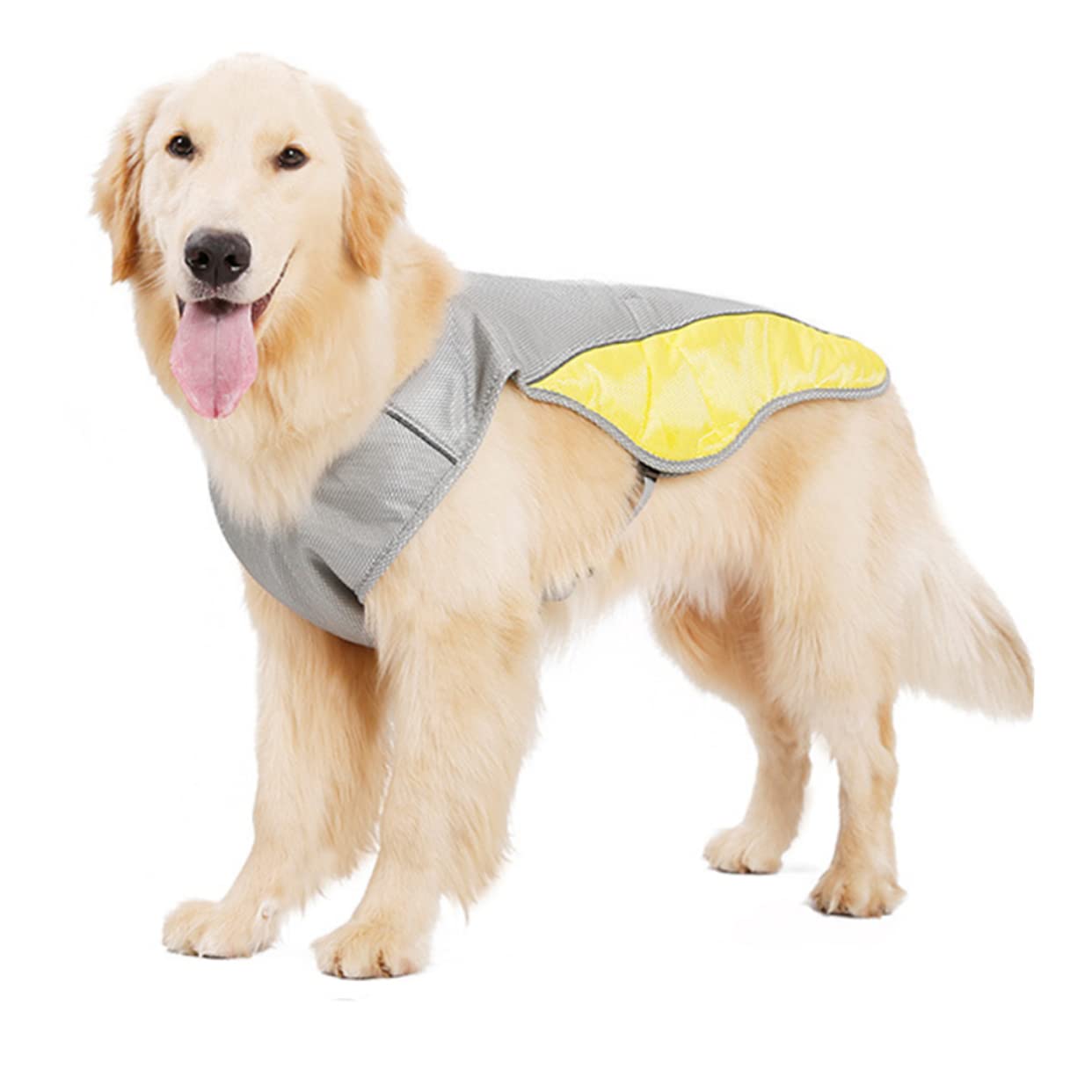 Kisangel 2pièces Gilet Rafraîchissant pour Chiens s Veste De Refroidissement Respirante Et Réfléchissante pour Animaux De Compagnie Été Couleurs Assorties