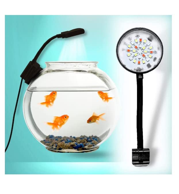 Tah Bluepet Aquarium Light N6 – 2.5w Nano Round Light with 3 Colour Changing Modes – Enhance Aquarium Vibrancy with Adjustable Lighting for Freshwater and Marine Tanks (B0BTMP2KK8) Amazon Price History, Amazon Price Tracker