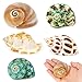 WeDoSoy 5PCS Hermit Crab Shells | Natural Sea Conch Size 2.1" - 2.8", Opening Size 0.9" - 1.5" | Medium Large Turbo Seashells for Hermit Crab Supplies and Beach Decoration Sea Shell