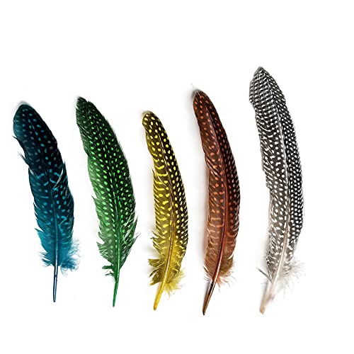 Happy Feather 6-9 Inch Natural Guinea Wing Plumage Feather For Diy Craft, Jewelry And Clothing Decoration Pack Of 50 #TOP1
