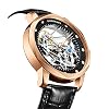 GUANQIN Vintage Men Skeleton Automatic Self-Wind Mechanical Watch Sapphire Crystal Business Double-Sided Hollow Waterproof Luminous Clock Man Genuine Leather or Rubber Strap Wristwatch