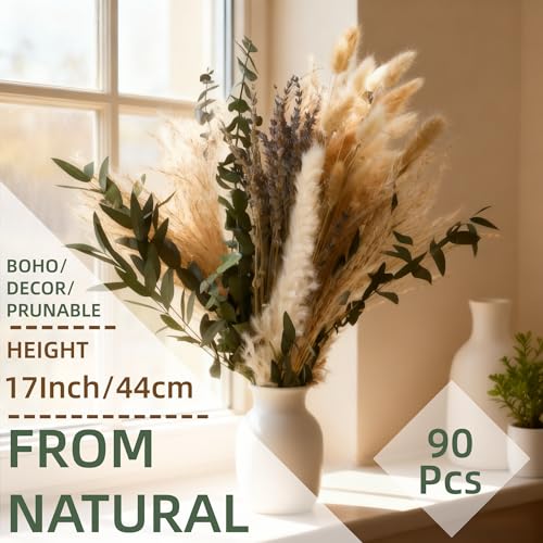 Ramo Natural de Hierba Pampas Verde Seco para Decoración miniatura 2