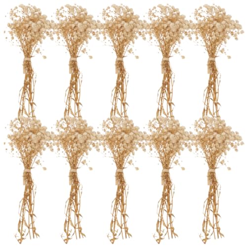 Ramillete Natural Seco Mini Flores Beige 12cm Pack 10 miniatura 1