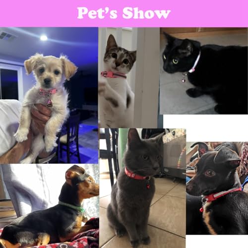 XS-Dog-Collar-with-Bell-2-Pack-Cat-Collars-Reflective-Puppy-Collar-Nylon-Soft-Adjustable-Buckle-for-XXS-XSmall-Extra-Small-Tiny-Boy-Girl-Pets-Female-Kitten-Yorkie-Teacup-Chihuahua
