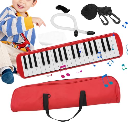 Phantasmia 37L[ fBJ pbP[Wt FABS ql ()