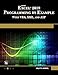 Microsoft Excel 2019 Programming by Example with VBA, XML, and ASP