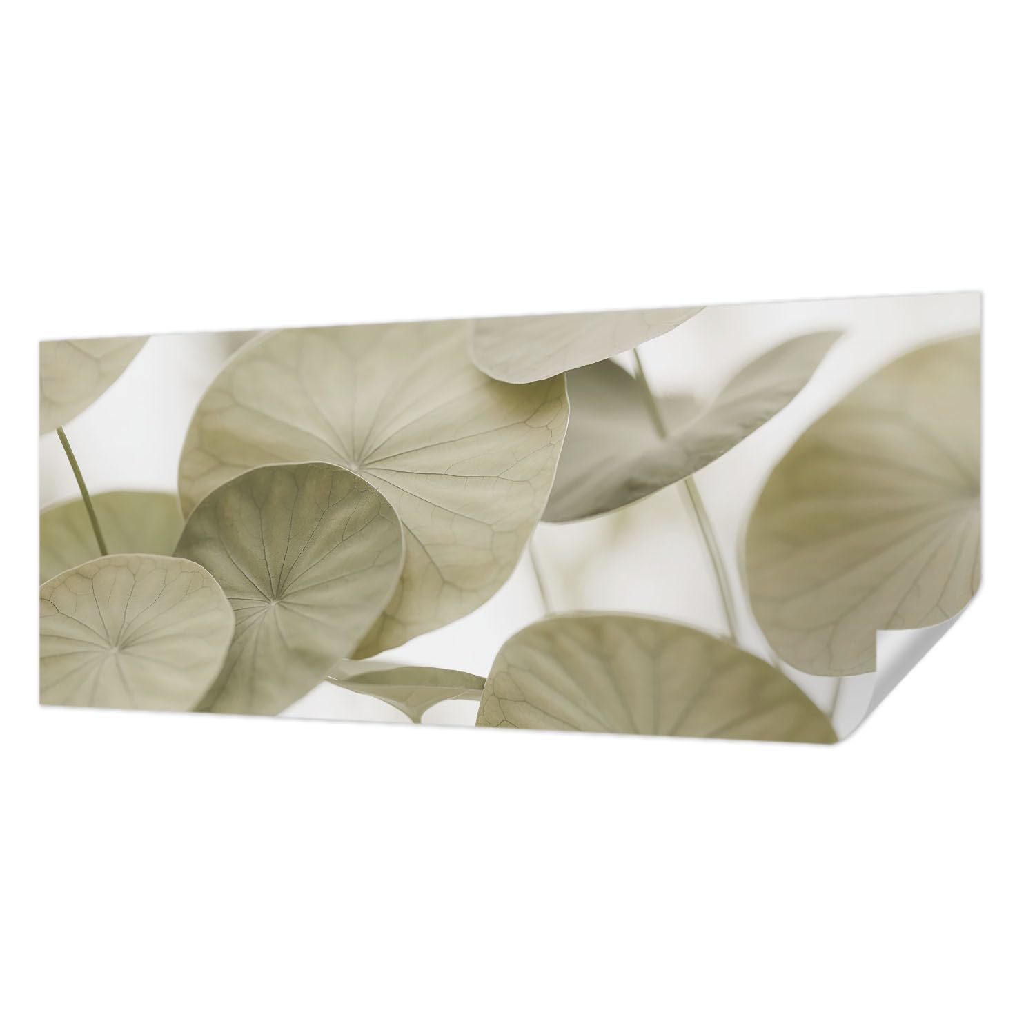 Papier peint adhésif panoramique Tulup 250x104 cm élégance naturelle