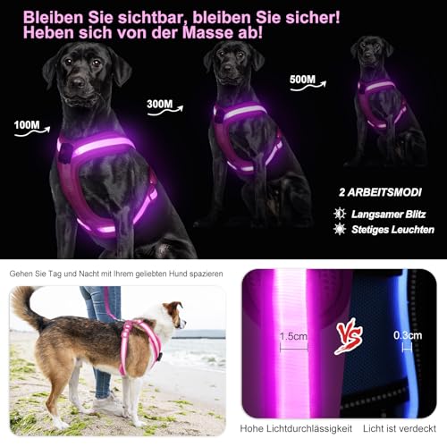 PZRLit Hundegeschirr Leuchtend, Leuchtgeschirr für Hunde Aufladbar, Leuchtendes Hundegeschirr LED, Leucht Geschirr für Hunde Reflektierend mit Licht Sicherheit im Dunkeln-Rosa, Extra Groß