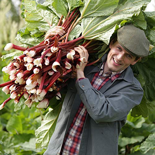 #28 &Aacute;rni &Oacute;lafur J&oacute;nsson - Hinn bl&oacute;mlegi kokkur