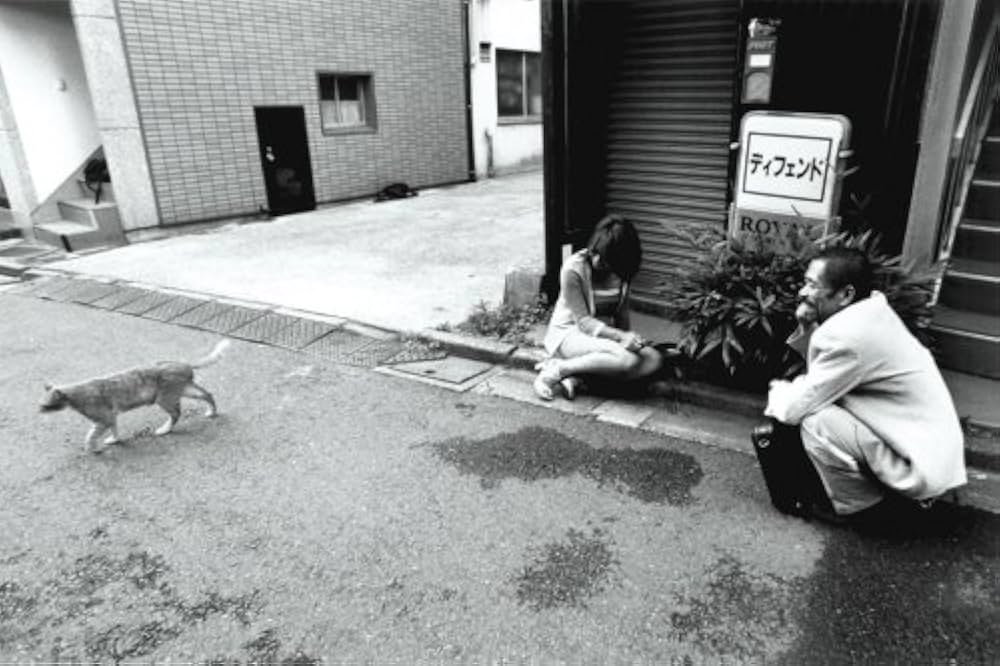 LIGHTS IN THE SHADOWS　菊池修の写真集 LIGHT IN THE SHADOWS | リトルモア