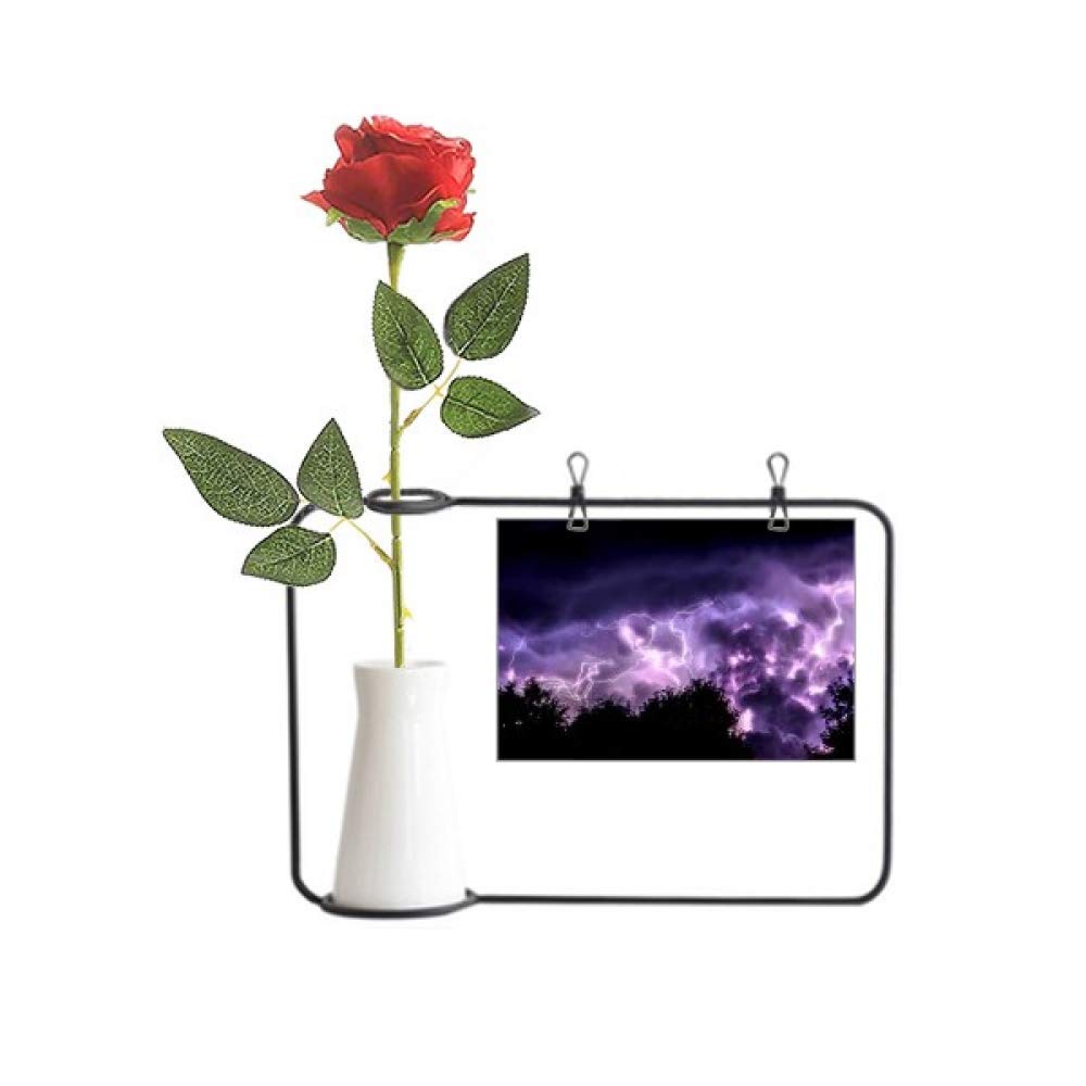 Vase bouteille Art Déco Violet Thunder et sa rose suspendue de prestige