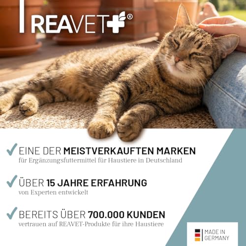ReaVET Senior Complete Pulver für ältere Katzen – zur Unterstützung der Herzfunktion, Vitalität & Beweglichkeit I Ergänzungsfuttermittel für Seniorenkatzen – mit Taurin, Kollagen & Colostrum 50g