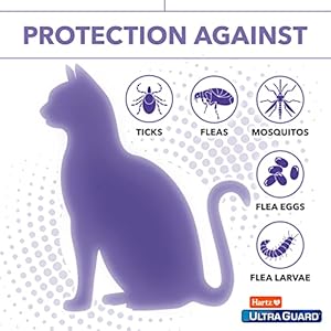   Hartz-UltraGuard-Pro-Topical-Flea-Tick-Prevention-for-Cats-Kittens-Over-5-lbs-6-Monthly-Treatments