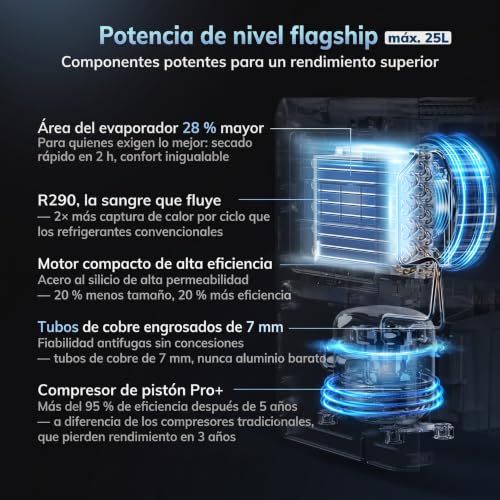 Miniatura 4 de 