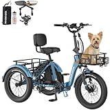 MOONCOOL Foldable Electric Tricycle TK Pro
