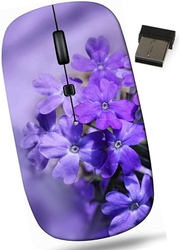 maizi Pequeño ratón inalámbrico para niños Chromebook Laptop PC Notebook Pequeño Ratones inalámbricos para niños ID de imagen 21156585 Hermoso