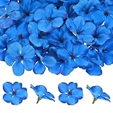 M METERXITY 100 Pack Têtes De Fleurs D'Orchidées Artificielles, Fausses Têtes De Fleurs D'Orchidées en Soie pour DIY Artisanat/Robe/Mariage/Décoration De Fête [Bleu Saphir, 2.2