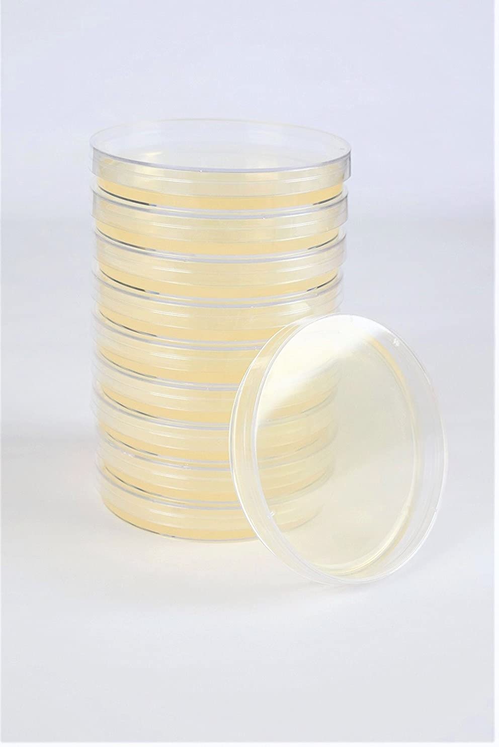 Buy Diamante Scientific Sabouraud Dextrose Agar (SDA), (10Pack), Pre