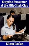  Surprise Encounter at the Mile-High Club (English Edition)