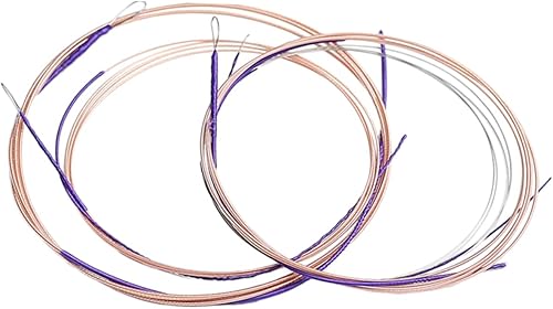 Mikinona Juego de 4 cuerdas profesionales de pipa para laúd chino, cuerdas de acero de repuesto en incluye para estudiantes de laúd y practicantes