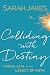 Colliding With Destiny: Finding Hope in the Legacy of Ruth