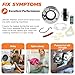 2025 Upgraded 285785 Washer Clutch Assembly Kit & 285753A Motor Coupling Kit & 4pcs 80040 Washer Agitator Dogs by Beaquicy - Fit for Kenmore Whirlpool Roper Washer - Replace 285331, 3351342, 3946794