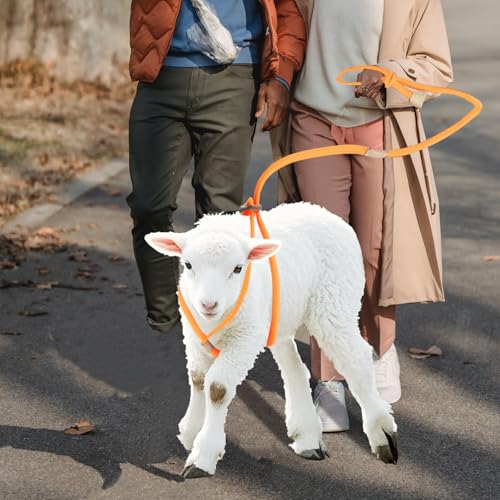 Image of Goat Harness, Adjustable Goat Harness for Walking, Washable Goat Leash, Goat Accessories, Livestock Supplies for Goats and Sheep, Orange
