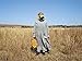 Pieter Hugo: Kin