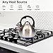 3.1 Quart Teal Whistling Tea Kettle for Stove Top, Food Grade Stainless Steel