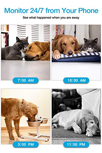 WiFi Pet Camera IMILLET Dog Camera with Phone App FHD Indoor Cat Camera Pet Monitor Night Vision 2 Way Audio Motion Detection (Black)
