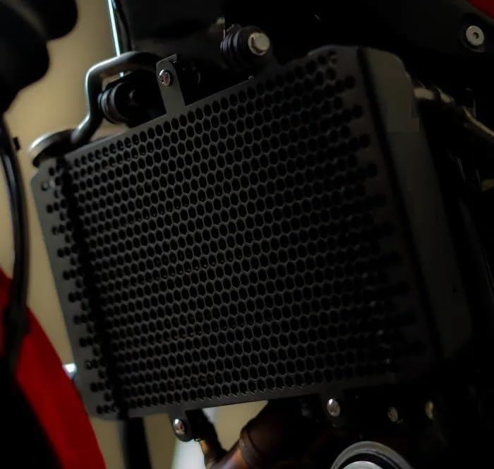 Radiator Guard Compatible with Royal Enfield GUERRILLA 450