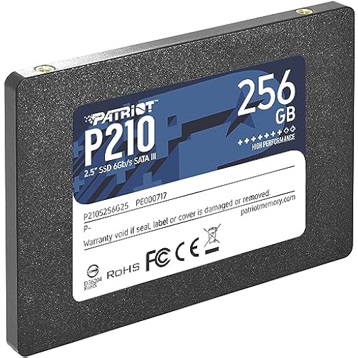 Patriot P210 SSD 256GB SATA III Disco Sólido Interno 2.5" - P210S256G25 | Ya disponible en tu tienda friki favorita! En mundofriki.es!