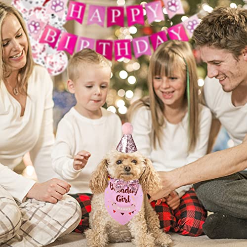 GUOYIHUA Dog Birthday Party Supplies, Dog Birthday Bandana Scarf, Doggie Boy Birthday Party Hat with Number, Bowtie Balloons Banner for Small Medium Dogs Pets, Birthday Party Decorations (6PCS, Pink) - Image 5