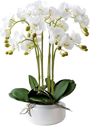 Flor artificial en maceta, flor artificial con jarrón orquídea falsa Phalaenopsis plantas falsas para decoración de diseño de oficina en casa, sala