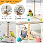 Bird Stand Perch Toy, Interactive Spinning Parakeet Toys, Wooden Exercise Wheel Parrot Toy, Enrichment Cockatiel Toy for Birds Cage, Bird Cage Accessories Perch Toys for Budgies - Image 4