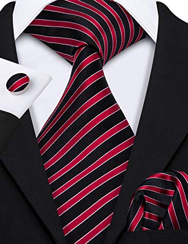 Image of Barry.Wang Men Tie Classic Silk Gift Necktie With Tie Clip Jacquard Woven Neck Ties 6PCS Formal Wedding