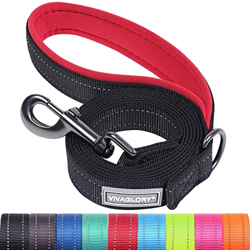 VIVAGLORY Dailyx Hundeleine, Welpenleine Hausleine Joggingleine Für Hunde, Hundeleine mit Schlaufe Und Gepolstertem Griff, Reflektierend & Gepolstert, 90 x 2.5cm, Schwarz