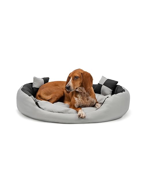 lionto Cama para Perros 4 en 1 cojín para Perros Cesta para Perros con cojín Reversible