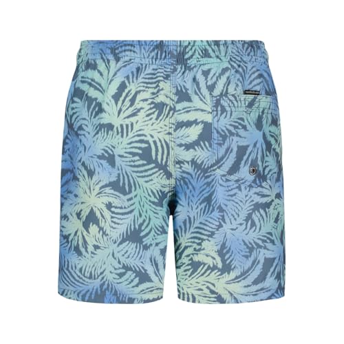 Quiksilver Boys' Volley Swim Trunks with UPF 50+ Sun Protection, Quick Dry Bathing Suit Shorts2
