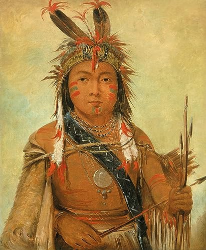 Poster sur toile George Catlin décoration murale tableau 50x70 cm