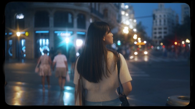 Walking Way 82MM 4/6/8 Points Star Filter Set - Twinkle Effect Lens, Cross- Screen, Slim Sparkling Effect Camera Filter With Case - View #3